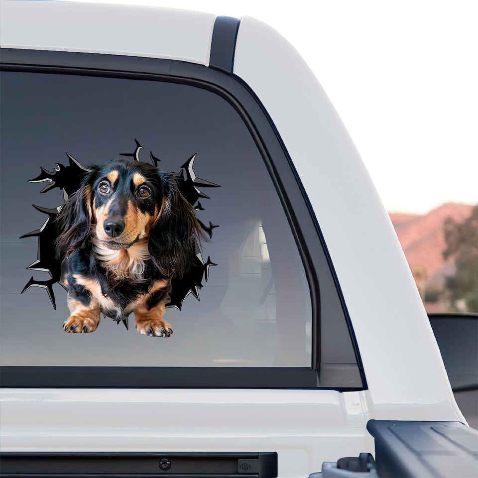 Weatherproof Wiener Dog sticker displayed proudly on the back glass of a truck.