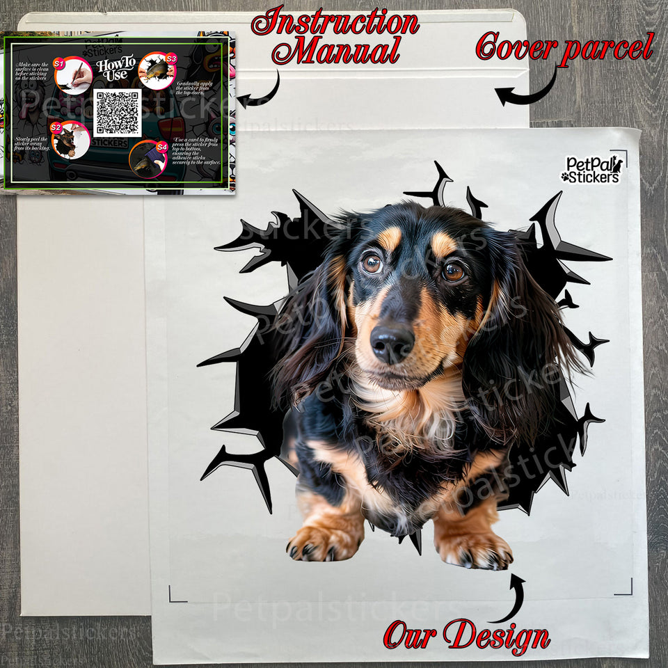 Protective packaging holding the Wiener Dog car decal with application guide inside the package.