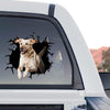 Yellow Lab decal artwork showing a realistic cracked glass standalone product design.