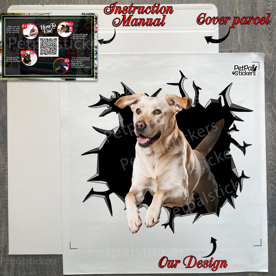 Unopened product package containing the Yellow Lab decal and installation instructions.