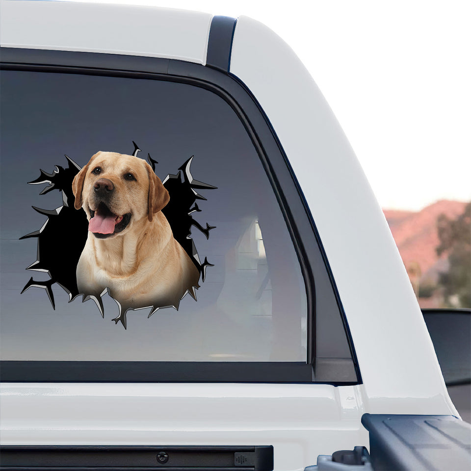 Exterior window decal featuring a yellow lab displayed on the rear glass of a truck.