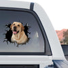 Exterior window decal featuring a yellow lab displayed on the rear glass of a truck.