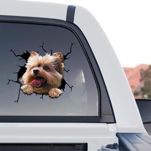 A cheerful tan and gray Yorkie bursting through a cracked hole on a standalone product design background.