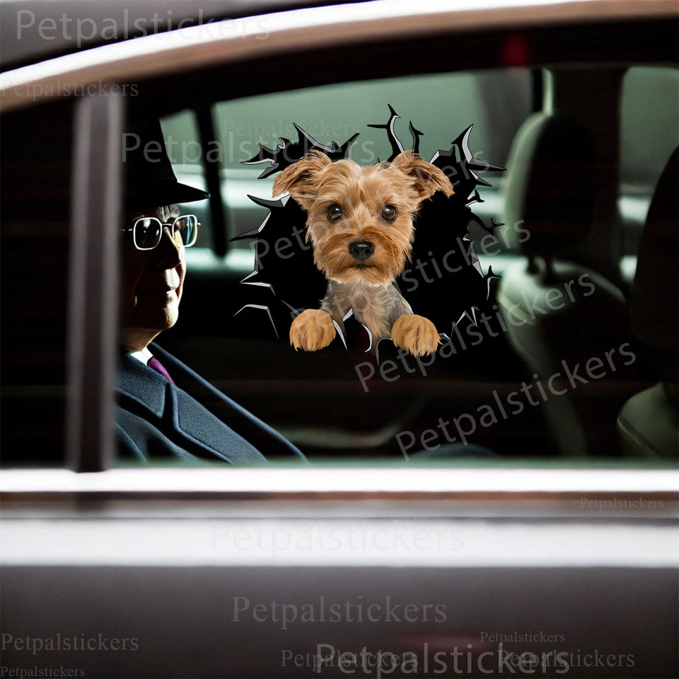 Cute Yorkie vinyl decal applied cleanly to the smooth exterior painted surface of a white car door.