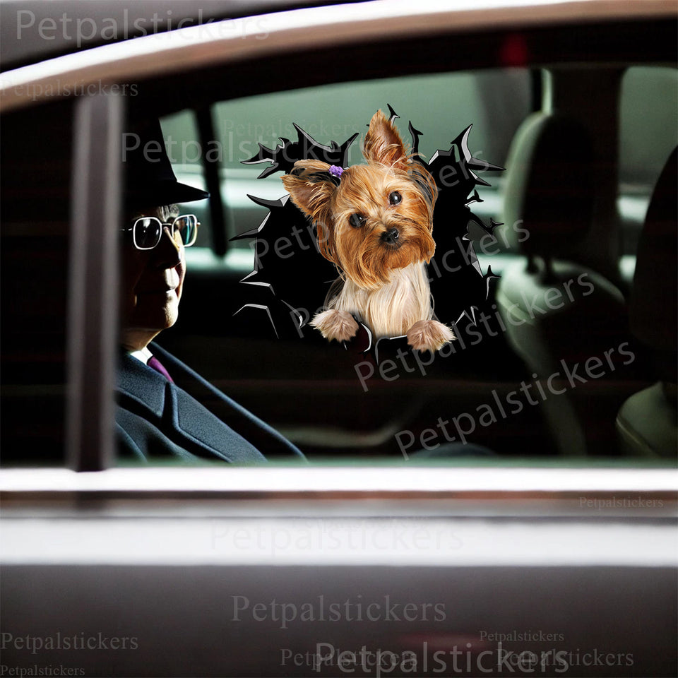 Cute Yorkshire Terrier decal styled gracefully on a white car door exterior.