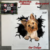 Protective decal package including clear Yorkie sticker and instructions.