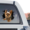 Vibrant Yorkie graphic decal artwork shown as a standalone product design.
