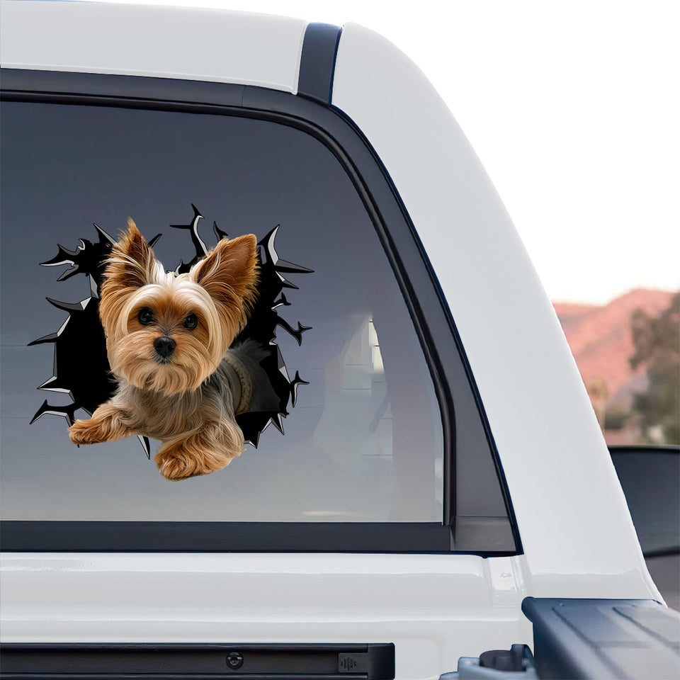 Adorable Yorkie dog sticker displayed prominently on the rear window of a truck.