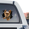Adorable Yorkie dog sticker displayed prominently on the rear window of a truck.