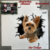 Unboxing the secure package containing the Yorkie car decal and instructions.