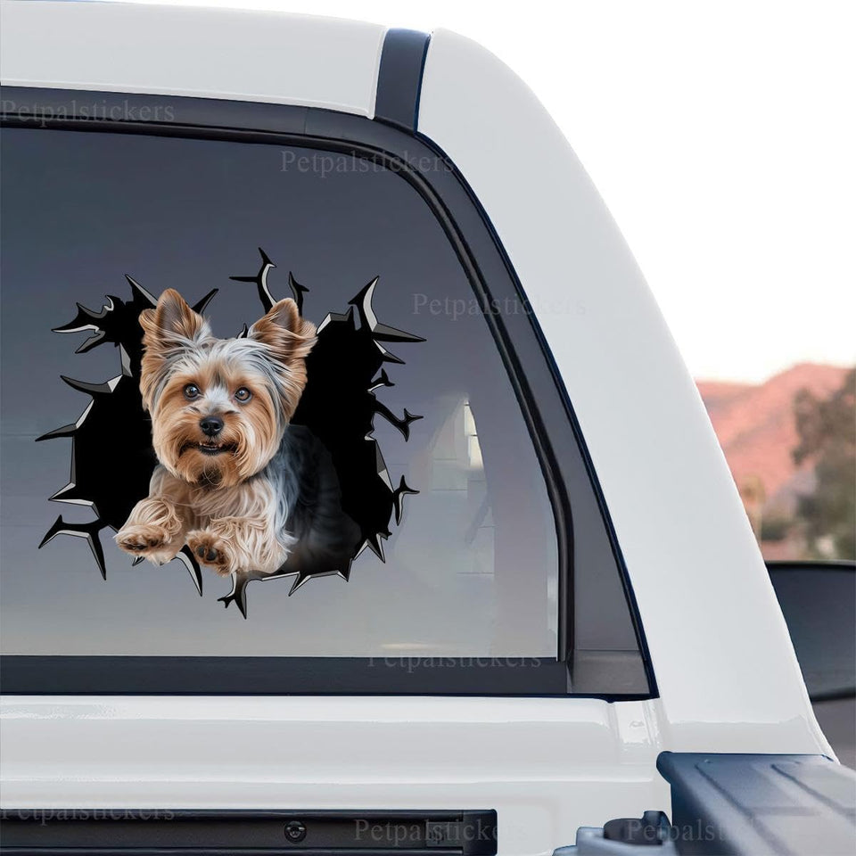 Vibrant Yorkie graphic decal showcasing standalone product design details on a neutral backdrop.
