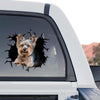 Vibrant Yorkie graphic decal showcasing standalone product design details on a neutral backdrop.