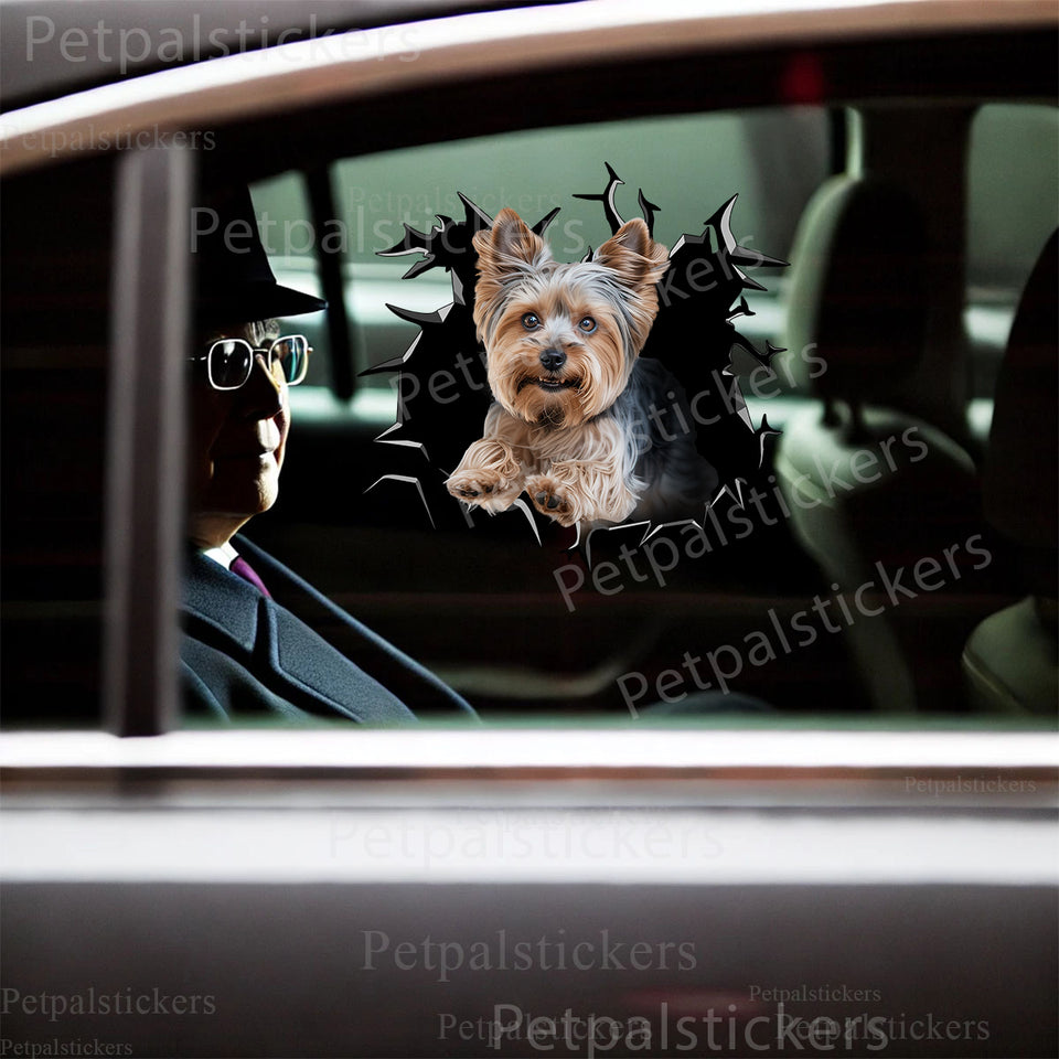 Adhesive Yorkie sticker displayed cleanly on the exterior car door of a white commuter vehicle.