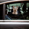 Adhesive Yorkie sticker displayed cleanly on the exterior car door of a white commuter vehicle.