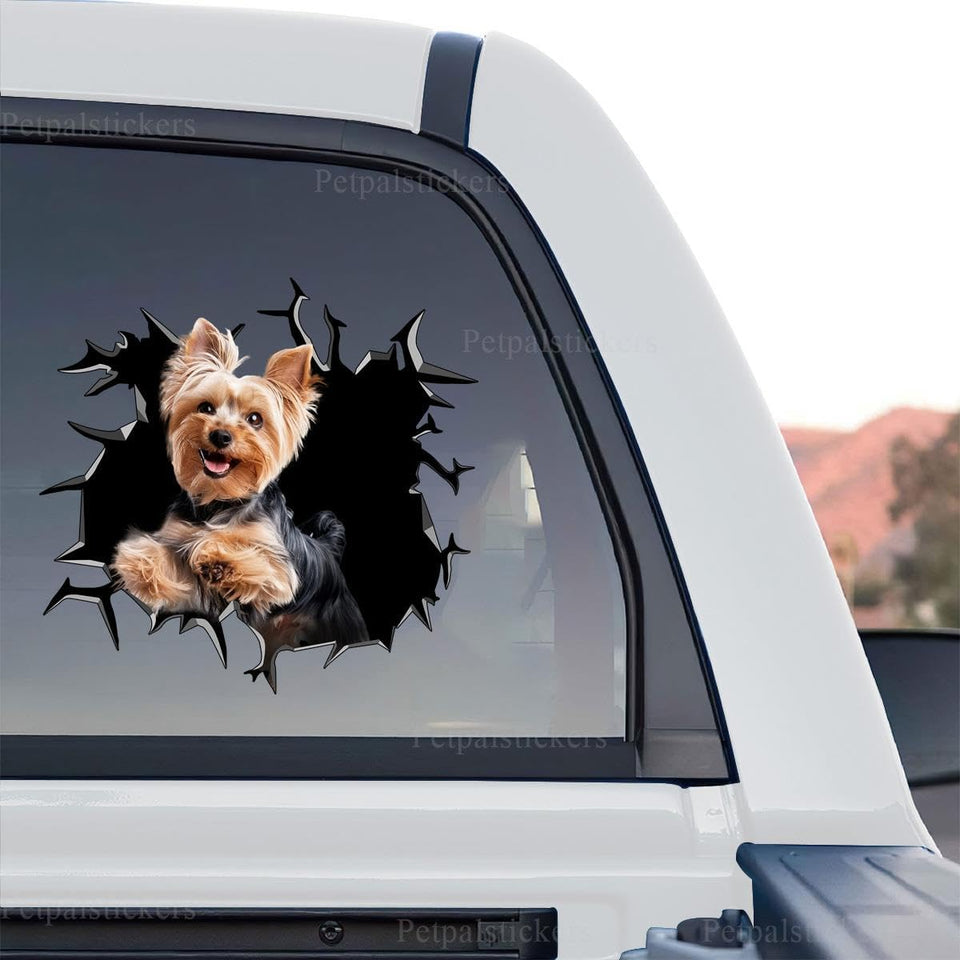 A realistic Yorkie cracked glass graphic in a standalone product design format.
