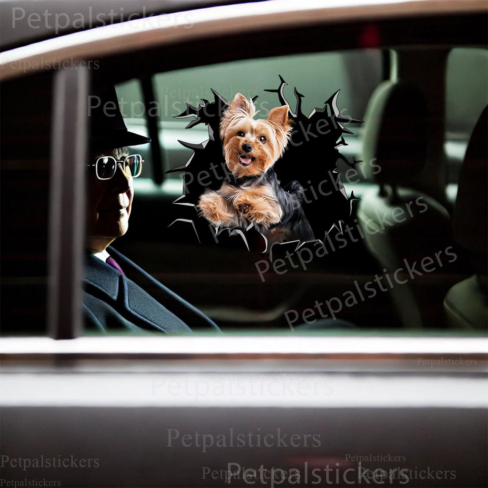 Playful Yorkie dog sticker displayed cleanly on an automobile car door surface.