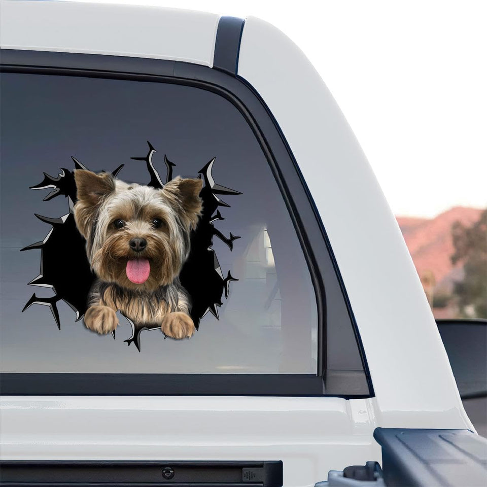 Yorkie Dog standalone product design shown as a vibrant graphic decal on clear vinyl.