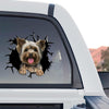 Yorkie Dog standalone product design shown as a vibrant graphic decal on clear vinyl.