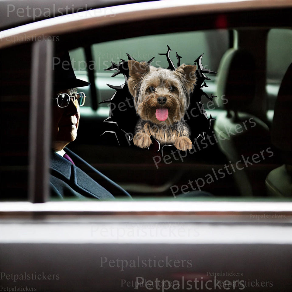 Cute Yorkie Dog decal applied smoothly to a white car door exterior surface.