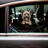 Cute Yorkie Dog decal applied smoothly to a white car door exterior surface.