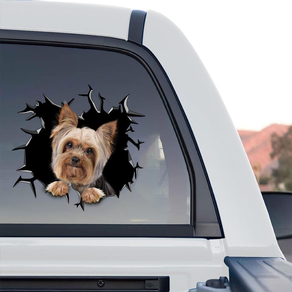 Vibrant Yorkie  For graphic art decal displayed as a standalone product design on a clear background.