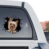 Glossy Yorkie  For vinyl decal displayed proudly on the back window of a truck outdoors.