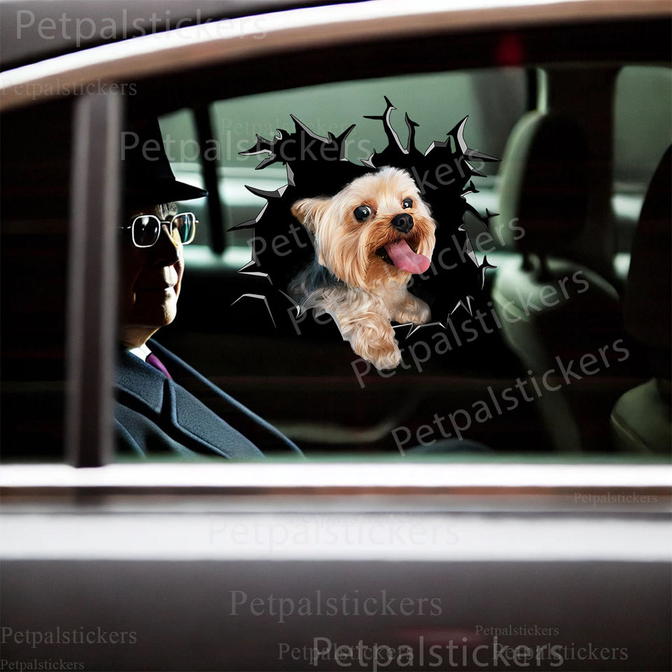 Vibrant waterproof Yorkie  For vinyl sticker applied cleanly onto a white car door.