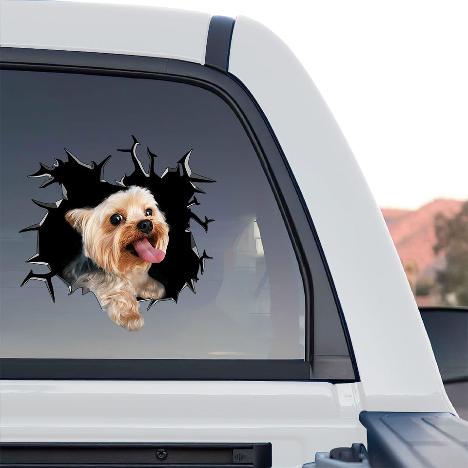 Glossy decorative Yorkie  For outdoor decal featured on the rear window of a truck.