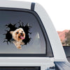 Glossy decorative Yorkie  For outdoor decal featured on the rear window of a truck.