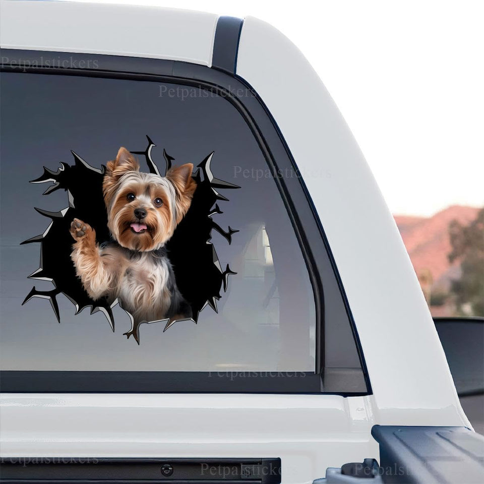 Detailed Yorkshire Terrier graphic car decal shown as a standalone product design on white background.