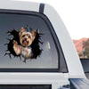 Detailed Yorkshire Terrier graphic car decal shown as a standalone product design on white background.