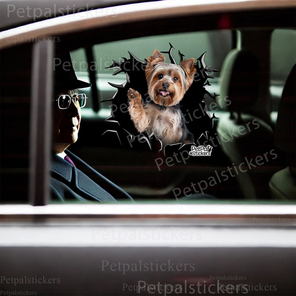 Cute Yorkshire Terrier sticker smoothly applied to the exterior car door of a modern passenger vehicle.