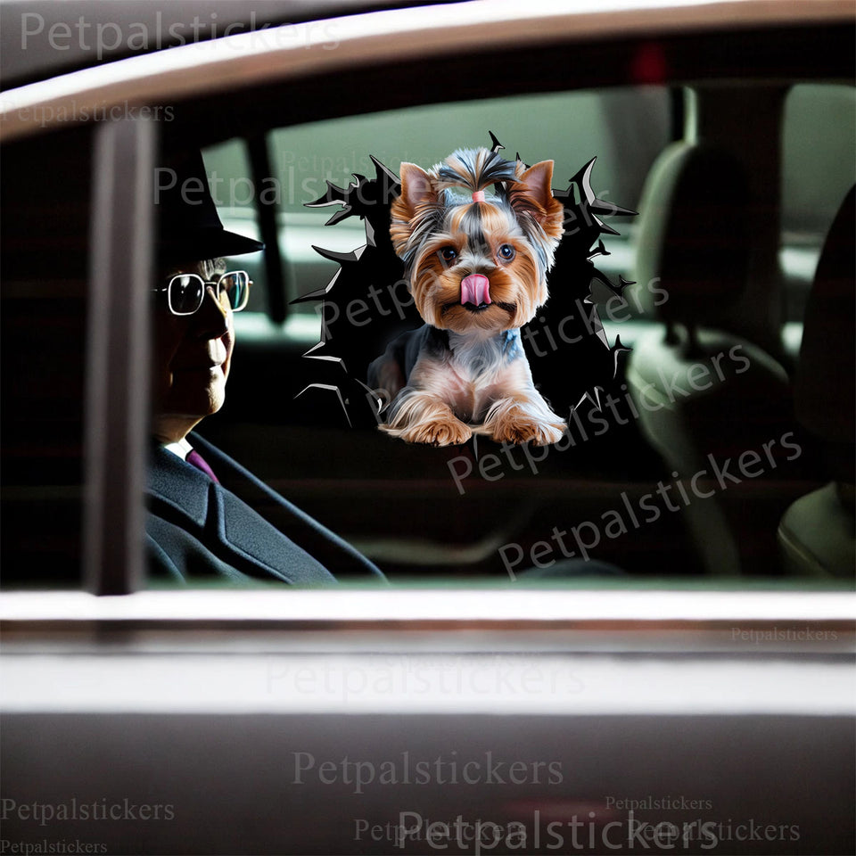 Yorkshire Terrier peeking decal displayed smoothly on a white car door exterior.
