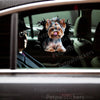 Yorkshire Terrier peeking decal displayed smoothly on a white car door exterior.