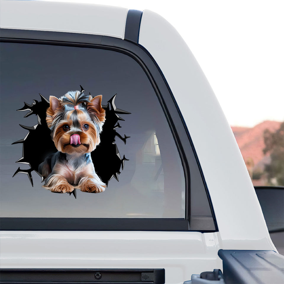 Vibrant Yorkshire Terrier waterproof graphic applied onto the rear glass of a truck.