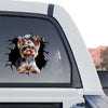 Vibrant Yorkshire Terrier waterproof graphic applied onto the rear glass of a truck.