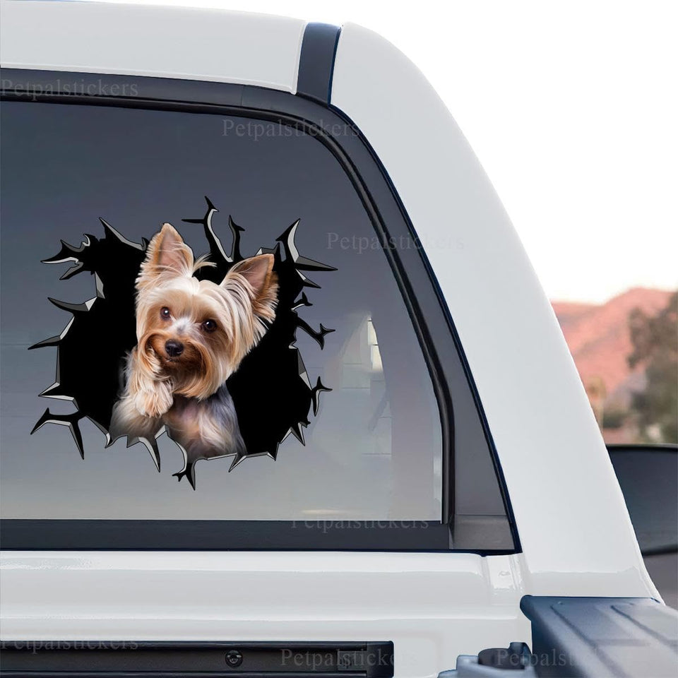 Cute Yorkshire Terrier graphic decal artwork shown in a clear standalone product design.