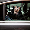 Detailed Yorkshire Terrier vinyl sticker displayed cleanly on a white car door surface.