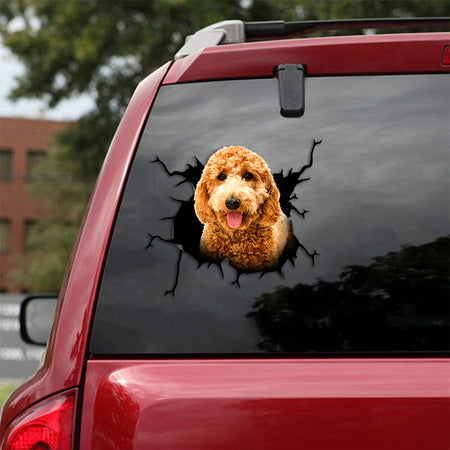 [th0736-snf-tnt]-golden-poodle-crack-car-sticker-dogs-lover