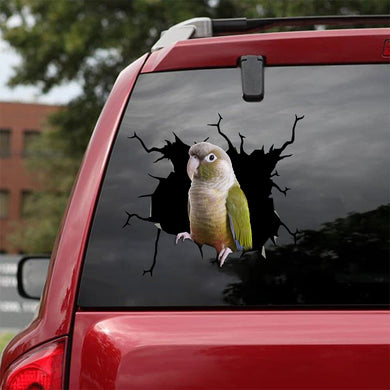 [bv0198-snf-tnt]-cinnamon-conure-crack-car-sticker-birds-lover