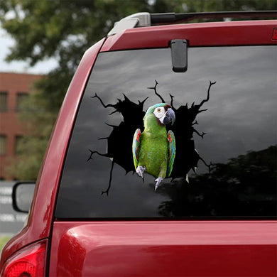 [bv0197-snf-tnt]-severe-macaw-crack-car-sticker-birds-lover