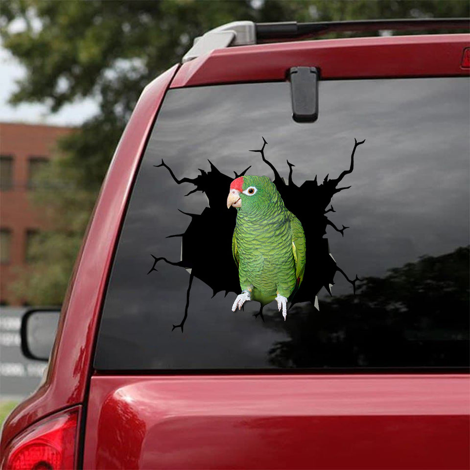 [bv0199-snf-tnt]-tucuman-amazon-parrot-crack-car-sticker-birds-lover