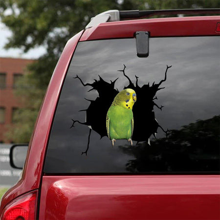 [bv0023-snf-tnt]-parrot-crack-car-sticker-parrot-lover