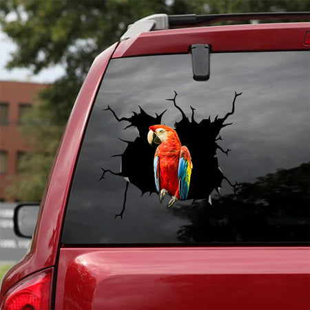 [bv0024-snf-tnt]-parrot-crack-car-sticker-parrot-lover