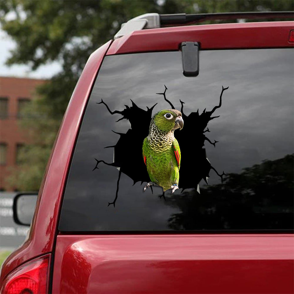 [bv0206-snf-tnt]-black-capped-conure-crack-car-sticker-cats-lover