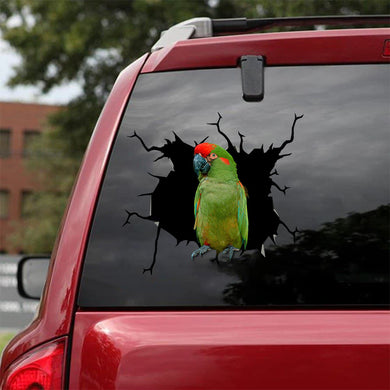 [bv0204-snf-tnt]-red-fronted-macaw-crack-car-sticker-cats-lover