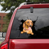 [sk1047-snf-tnt]-dachshund-crack-car-sticker-dogs-lover