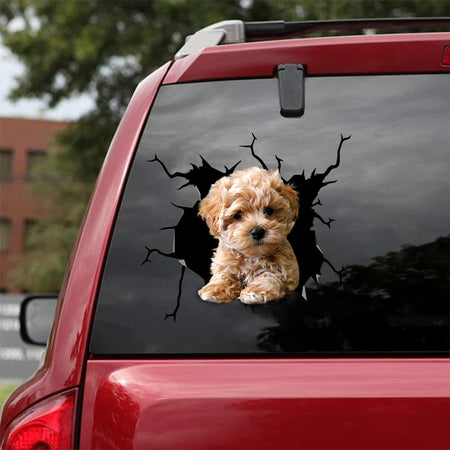 [bv0096-snf-ptd]-poodie-crack-car-sticker-dogs-lover