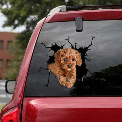 [bv0097-snf-ptd]-poodie-crack-car-sticker-dogs-lover
