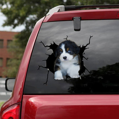 [bv0100-snf-ptd]-poodie-crack-car-sticker-dogs-lover